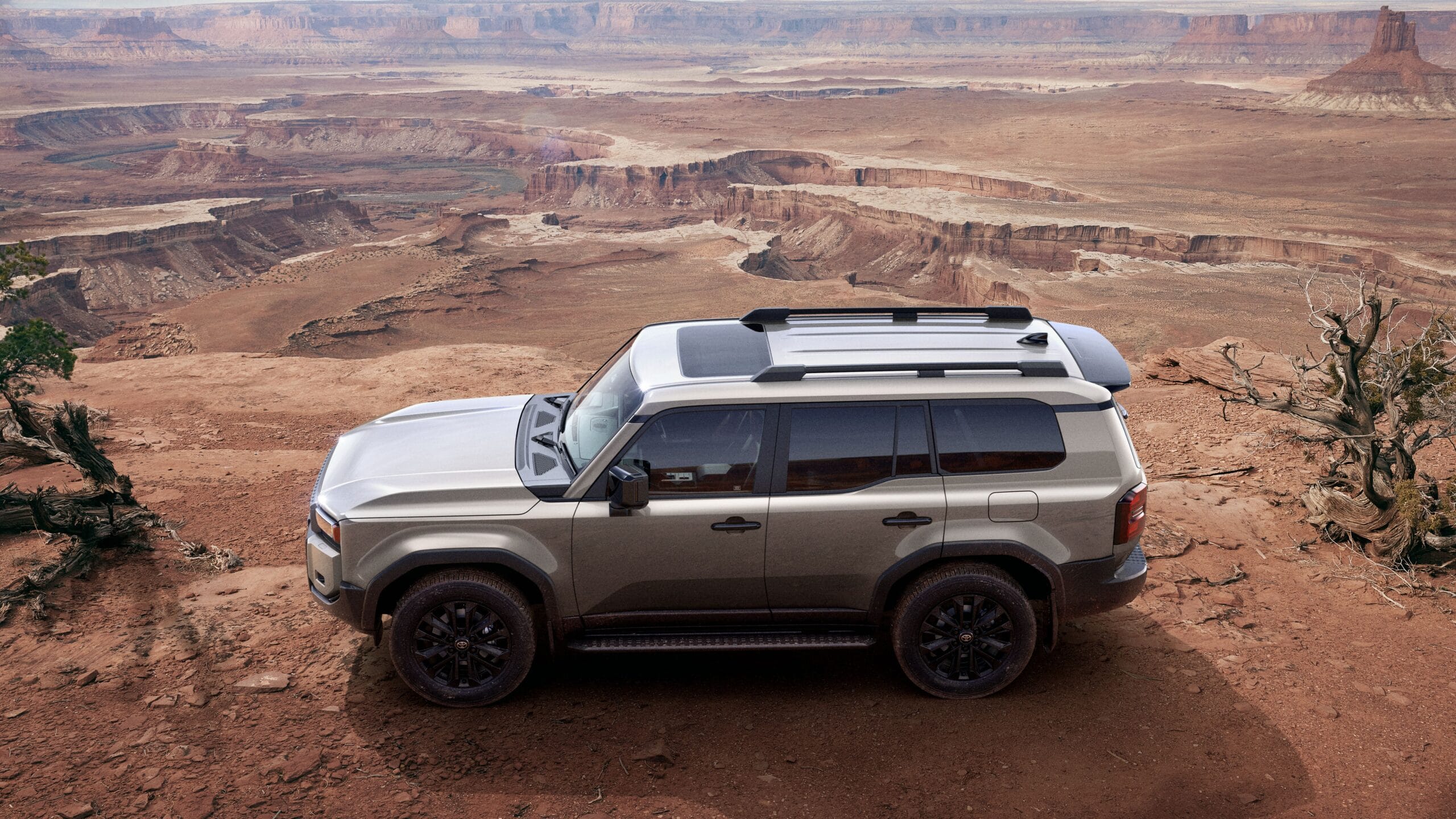 A unique and simple profile worthy of being called functional beauty